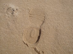 disciples follow the master's footprints